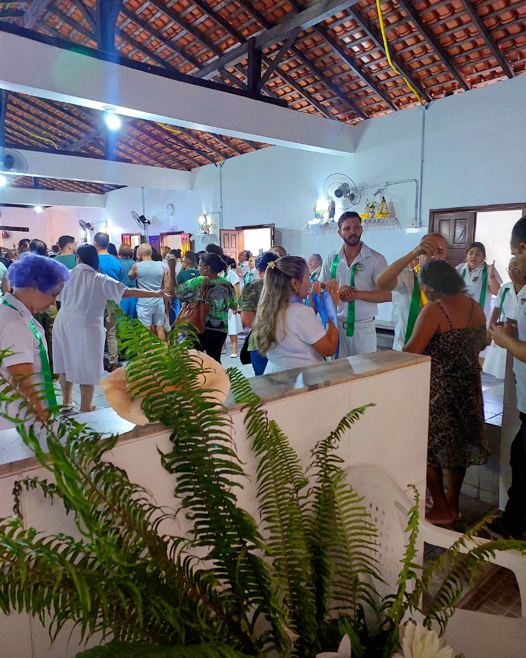 17_20260121_232738_0016